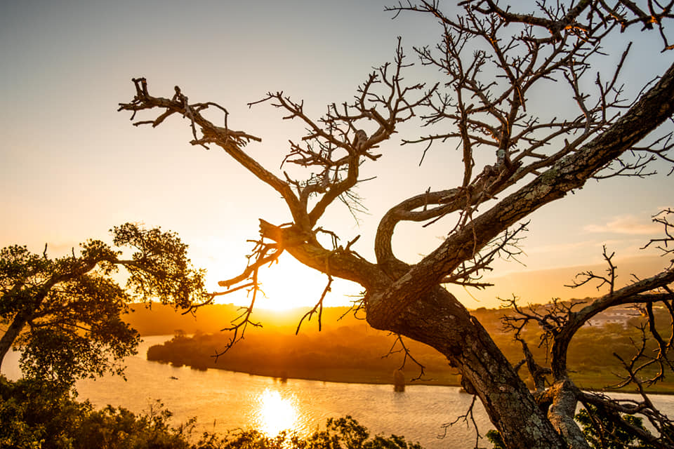 YouthTourismSA's tweet photo. #ExploretheWildCoast with Michael Monk this summer as he discovers secret spots and the amazing beauty of the Eastern Cape!
#Backpackwithpurpose and experience the immersive culture in communities around the #AdventureProvince
#YouthTravel #LuxuryYouthTravel @BackpackingZA https://t.co/79u2rmDqrs
