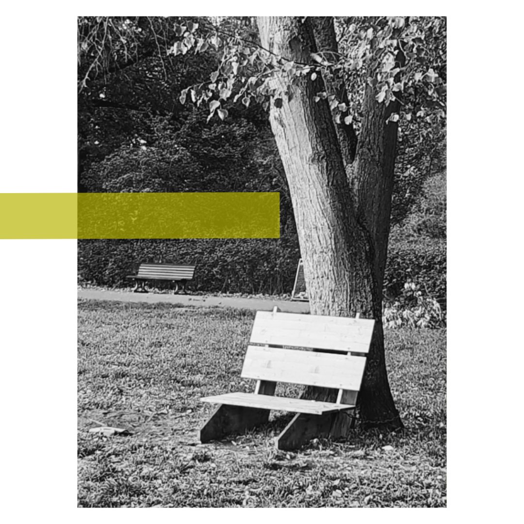 Thomashöhe in Neukölln went from 0 to 7 benches in half a year. This is amazing, we reached our goal here. Before we put two benches there in May, the park didn't had any public bench. In October the city put up four public benches and even left the ones that we built.