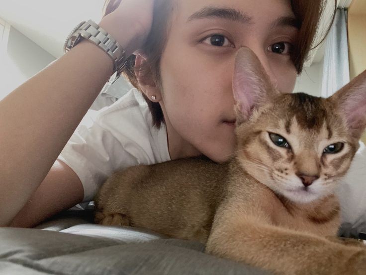 wongdewiii's tweet photo. AGHHH 

he loves cats
He likes bandshirts
Good at singing
Taking mirror selfies
ASDFGHKKKLLZCXBMEHWUEKTJWHQKSI!!!??$#@&amp;@&amp;1!? https://t.co/n8yQAqFpQx