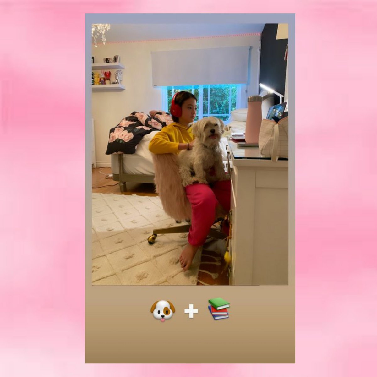 ellagross_py's tweet image. 16/10/20 #UPDATE🦋

Actualización de @ellagross en sus historias de instagram💗

🐶 + 📚

🌱Follow: @ellagross_paraguay
────────
#ellagross #model #trainee #yg #theblacklabel #ellagross_paraguay