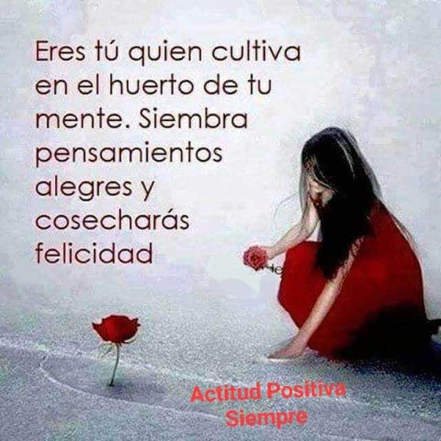 AlejandraZarzaD's tweet photo. https://t.co/2ORGexzTPp