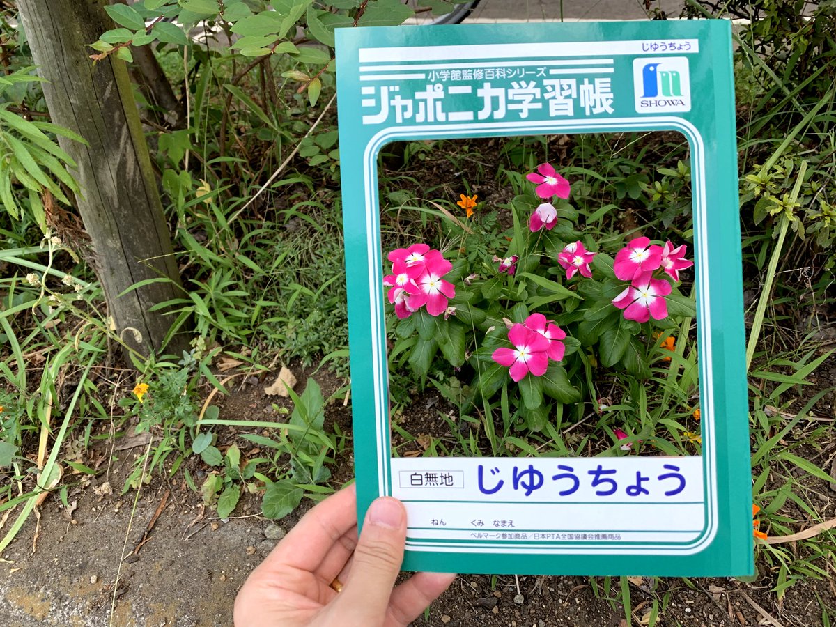 じゆうちょうの聖地巡礼した時の写真が高クオリティーでスゴい と思いきやある仕掛けが 騙されましたw 発想面白いw Togetter じゆうちょうの聖地巡礼した時の写真が高クオリティーでスゴい と思いきやある仕掛けが 騙されましたw 発想面白いw Togetter