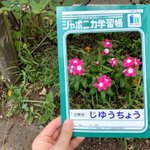 まるで本物!どんな画でもジャポニカ学習帳の表紙になれる説!？