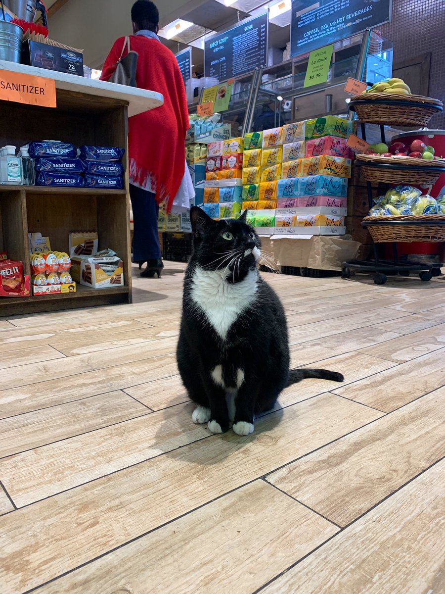 Artibuff tweet media