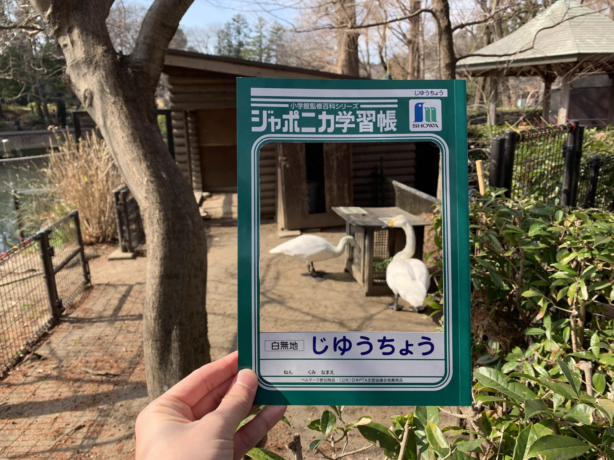まるで本物！！どんな画でもジャポニカ学習帳の表紙になれる説！？