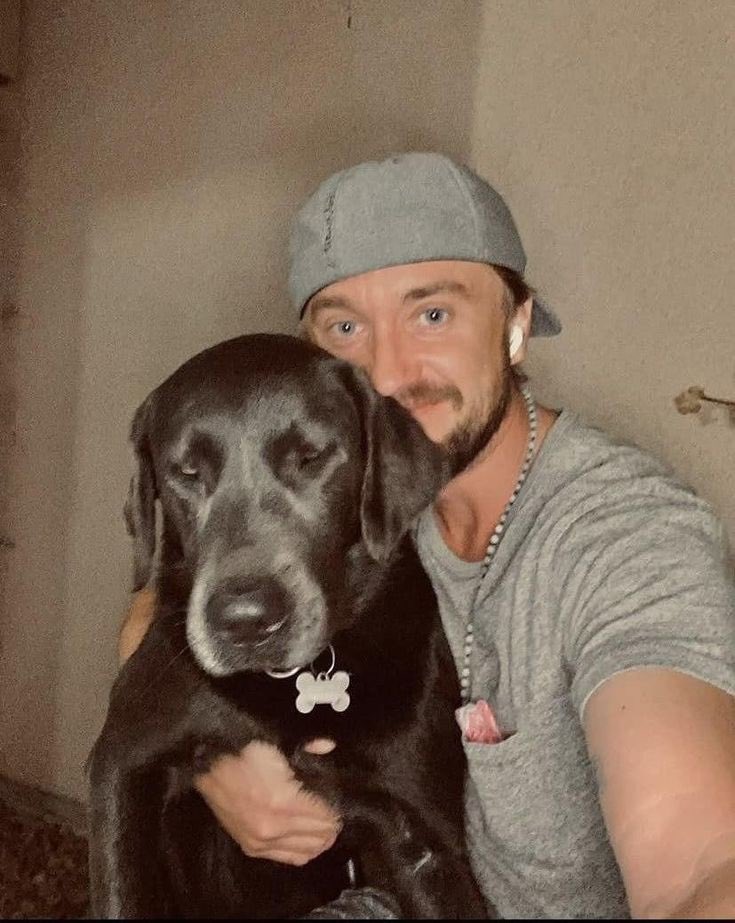 tom felton + dogs : a thread