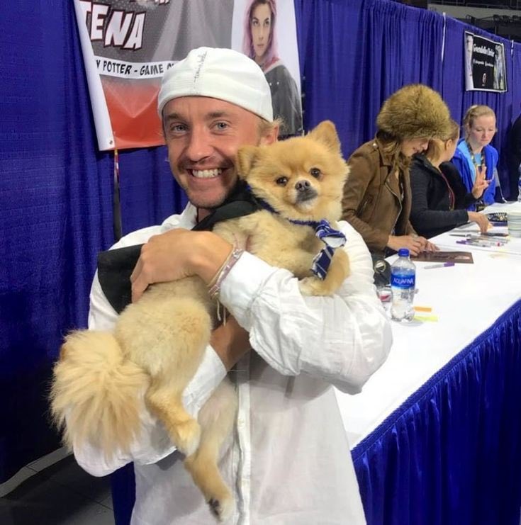 tom felton + dogs : a thread