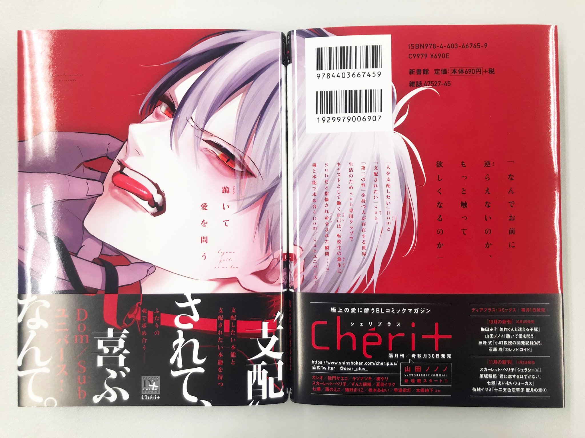CATEGORY 山田ノノノ | K-BOOKS 池袋 2次元グッズ通販