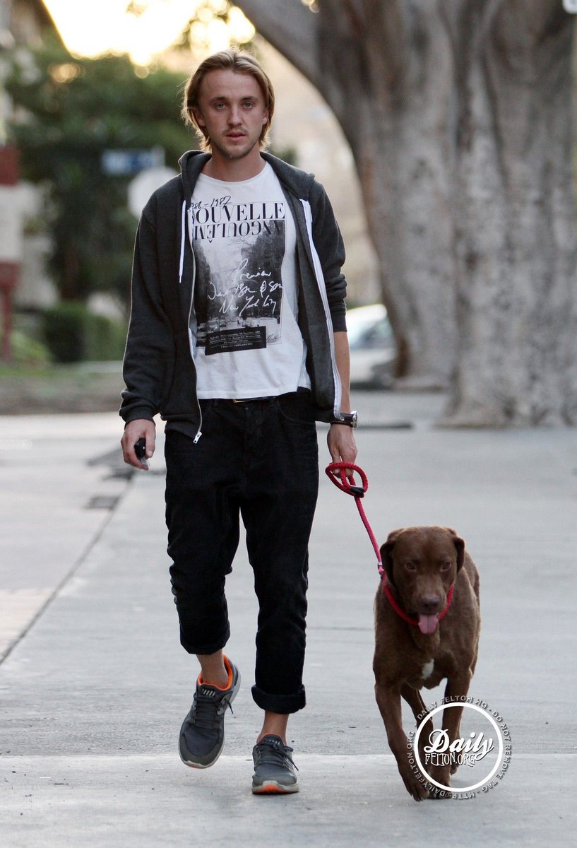 tom felton + dogs : a thread