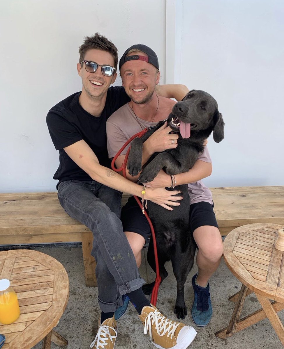 tom felton + dogs : a thread