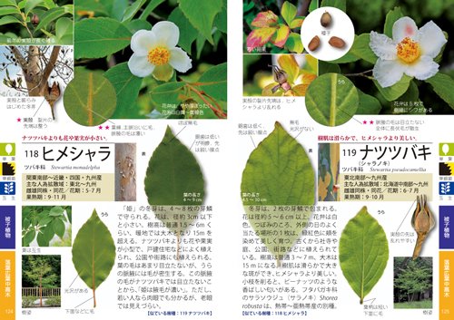 تويتر 文一総合出版 公式 つ 新刊続々発売中 على تويتر それではここで 秋にお楽しみいただける 文一総合出版の書籍をいくつかご案内しますー ﾟーﾟ ﾉ