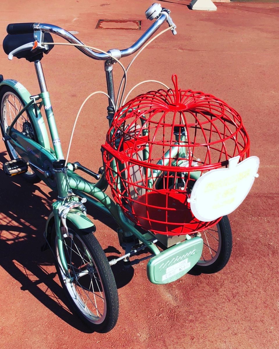 addatoursjapan's tweet photo. Apple Picking🍎🍏
#HirosakiApplePark #applepark #applepicking #fruitpicking #apple #Hiriosaki #Aomori #Japan #travel #trip #JapanTrip #JapanTravel #travelphotography #travelphoto #localtour #visitJapan #AddaToursJapan #りんご公園 #りんご狩り #弘前 #青森 https://t.co/C7ioDmCepn