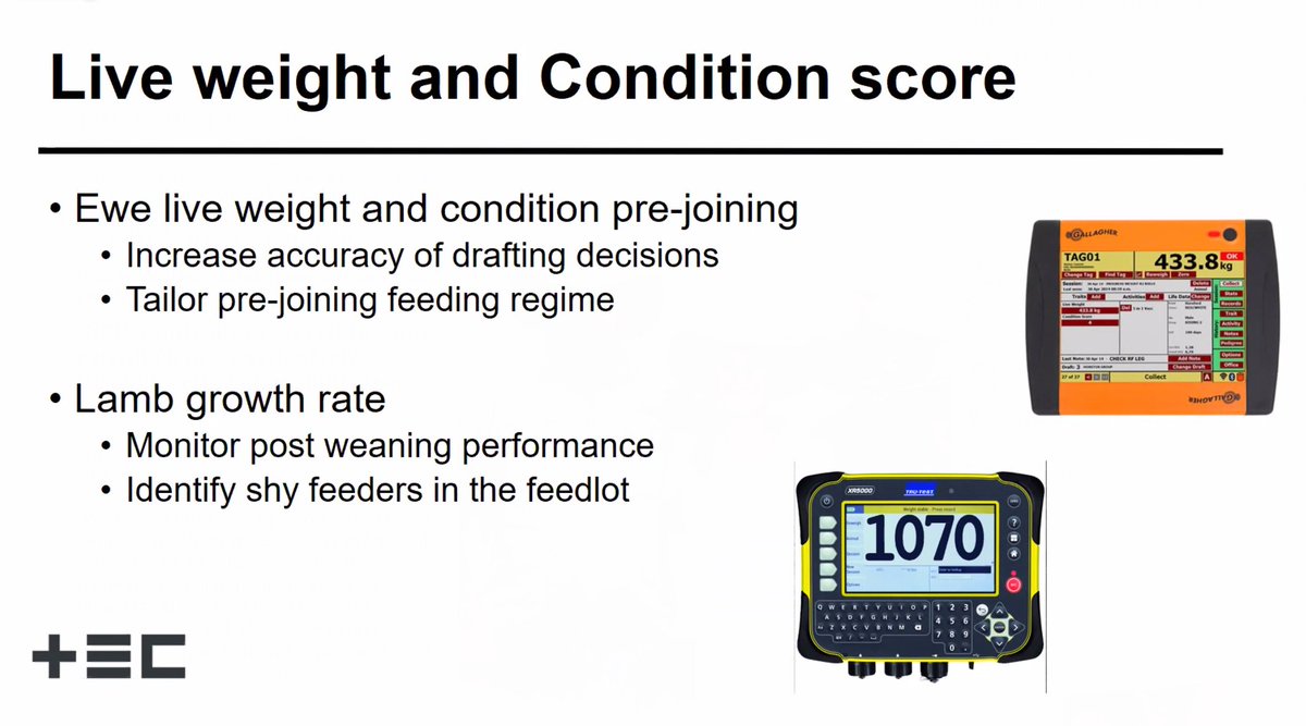 Michael Wilkes from <a href="/TEC_Aus/">Thomas Elder Consulting</a> has just started his presentation on applying technology in commercial sheep businesses. He's currently touching on the value behind tech such as live weight and condition scores. 
Do you use similar tech on your operation?
#sheepinnovationday