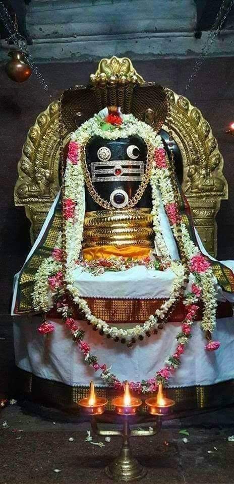 இன்றைய சிவ தரிசனம்
திருச்சிற்றம்பலம்
ஓம் நம சிவாய
#lordshiva https://t.co/cXR1zLXcdd
