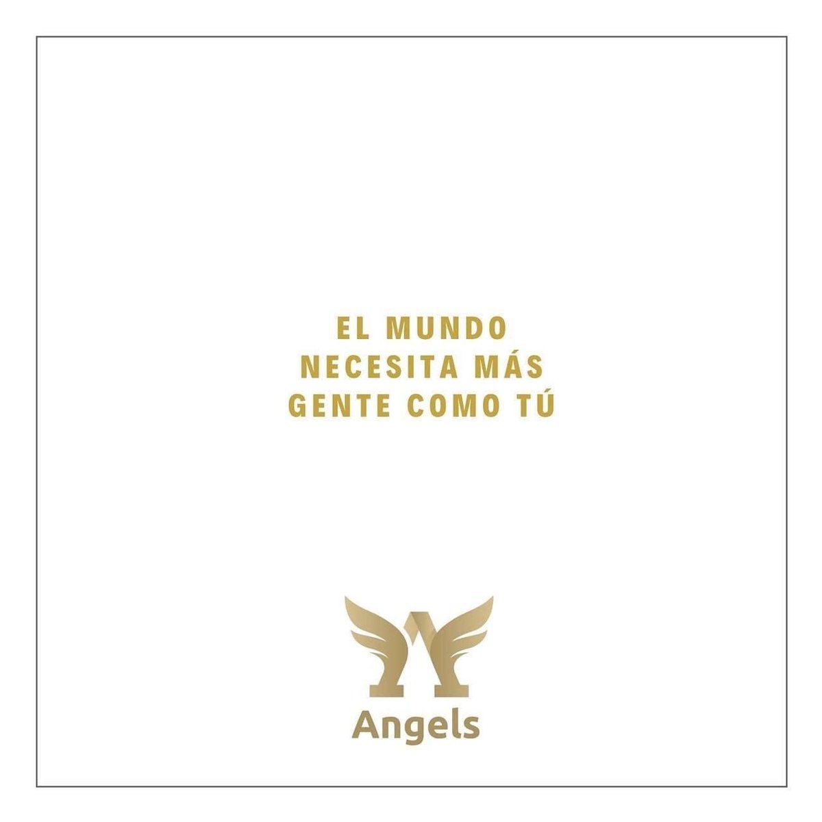 Angels Cam Models tweet media