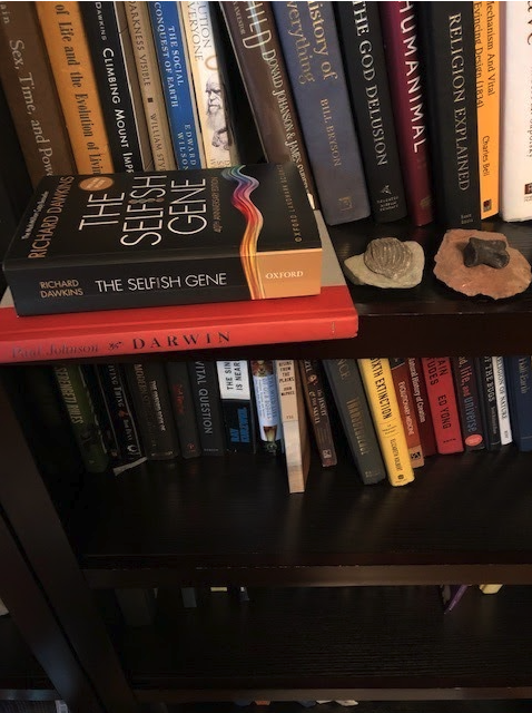 The third trade:Traded the grab bag of books with Paul Sommers for:- Signed copy of  @RichardDawkins' The Selfish Gene- 150-million-year-old dinosaur toe bone- Other ancient fossils$56 -> $350Return (this trade): 6.3xRice-on-rice return (all time): 12.1 million times