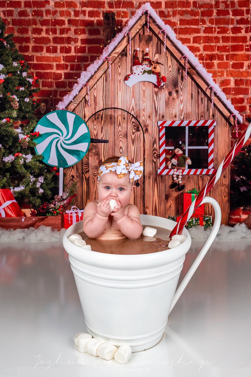 w4tko's tweet photo. Booking mini-sessions soon! Contact me for pricing and availability! #studiophotography #jbphotography #christmasphotography https://t.co/DDhmqCAA7w https://t.co/w2dFR625Bs
