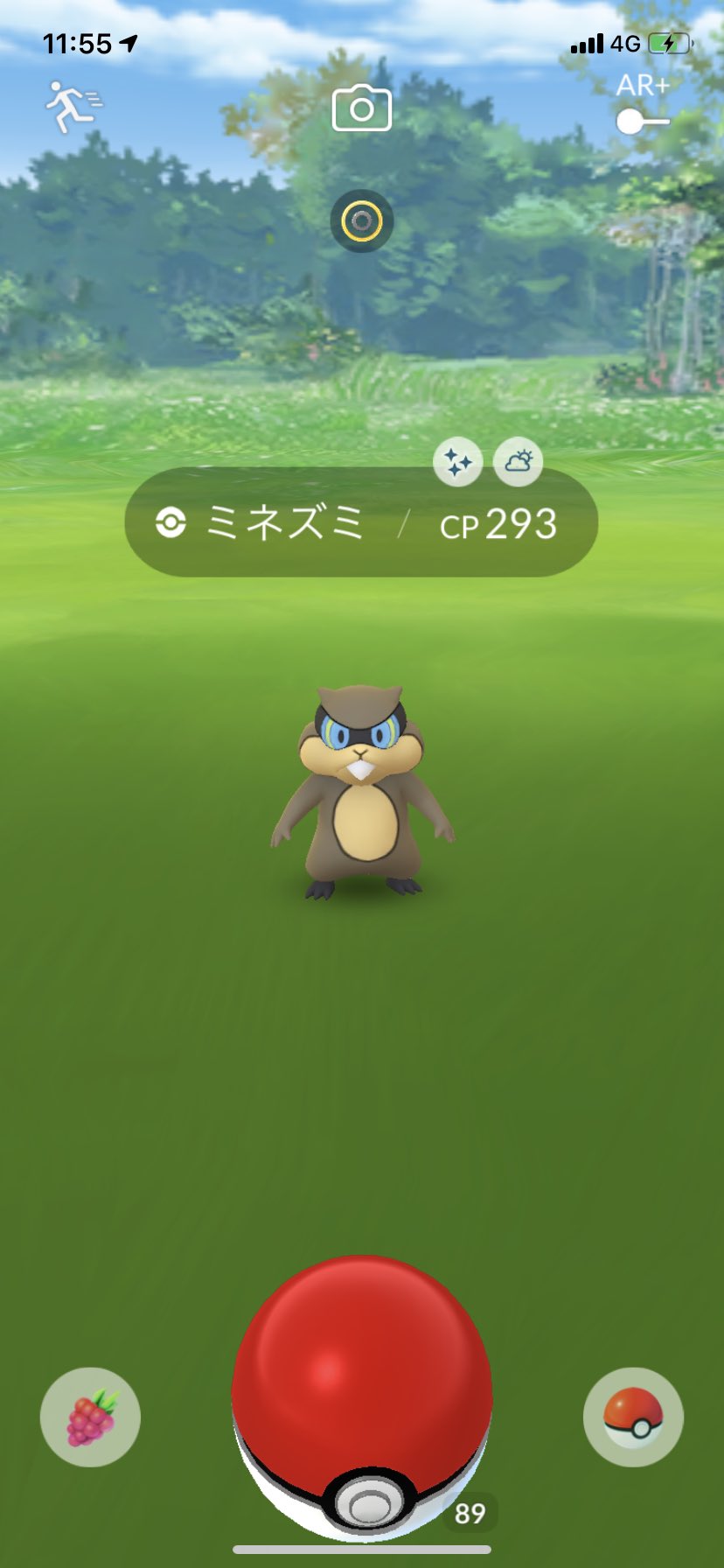 りゅうせい 色違いミネズミ出た なんか気持ち悪いな ポケモンgo T Co Ybay5zxti7 Twitter りゅうせい 色違いミネズミ出た なんか気持ち悪いな ポケモンgo T Co Ybay5zxti7 Twitter