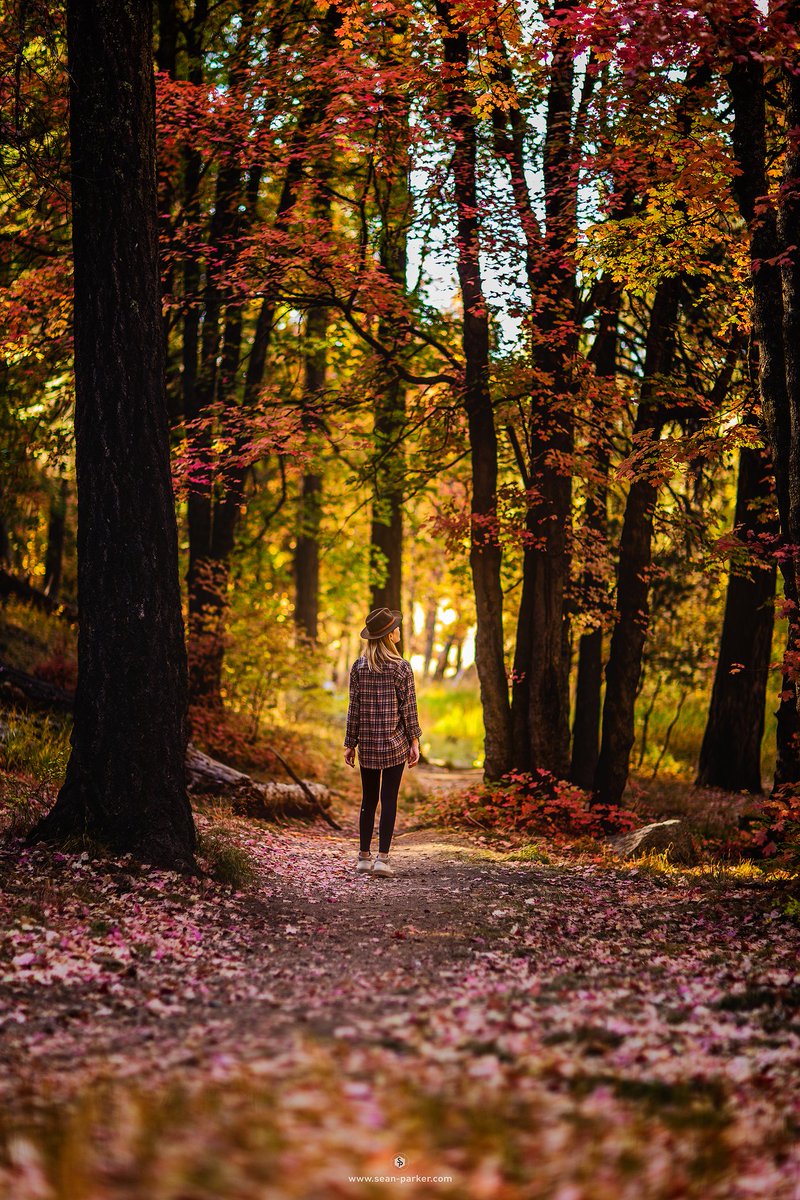 Fall has arrived in Tucson. #mtlemmon #tucson #portraitphotography