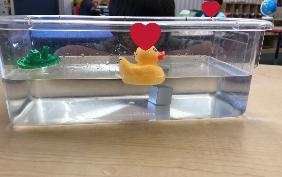 MrsLeeneth_G's tweet photo. Today our little scientists made predictions & observations about buoyant objects floating & dense objects sinking! #scienceisfun #MCC_FUESD #pumpkinsfloat ❤️ https://t.co/vtZ9izEsiH