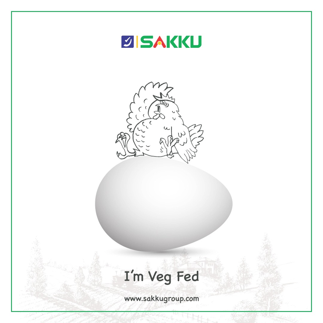 SakkuEggs's tweet image. Hens are given vegetarian feed at Sakku farms which provide vitamins,minerals and plant-based proteins.
#eggsforgoodhealth #eggsforimmunity #vitaminD3 #D3eggs 
For Franchise details call on : 8008499799
--&amp;gt;&amp;gt;sakkugroup.com