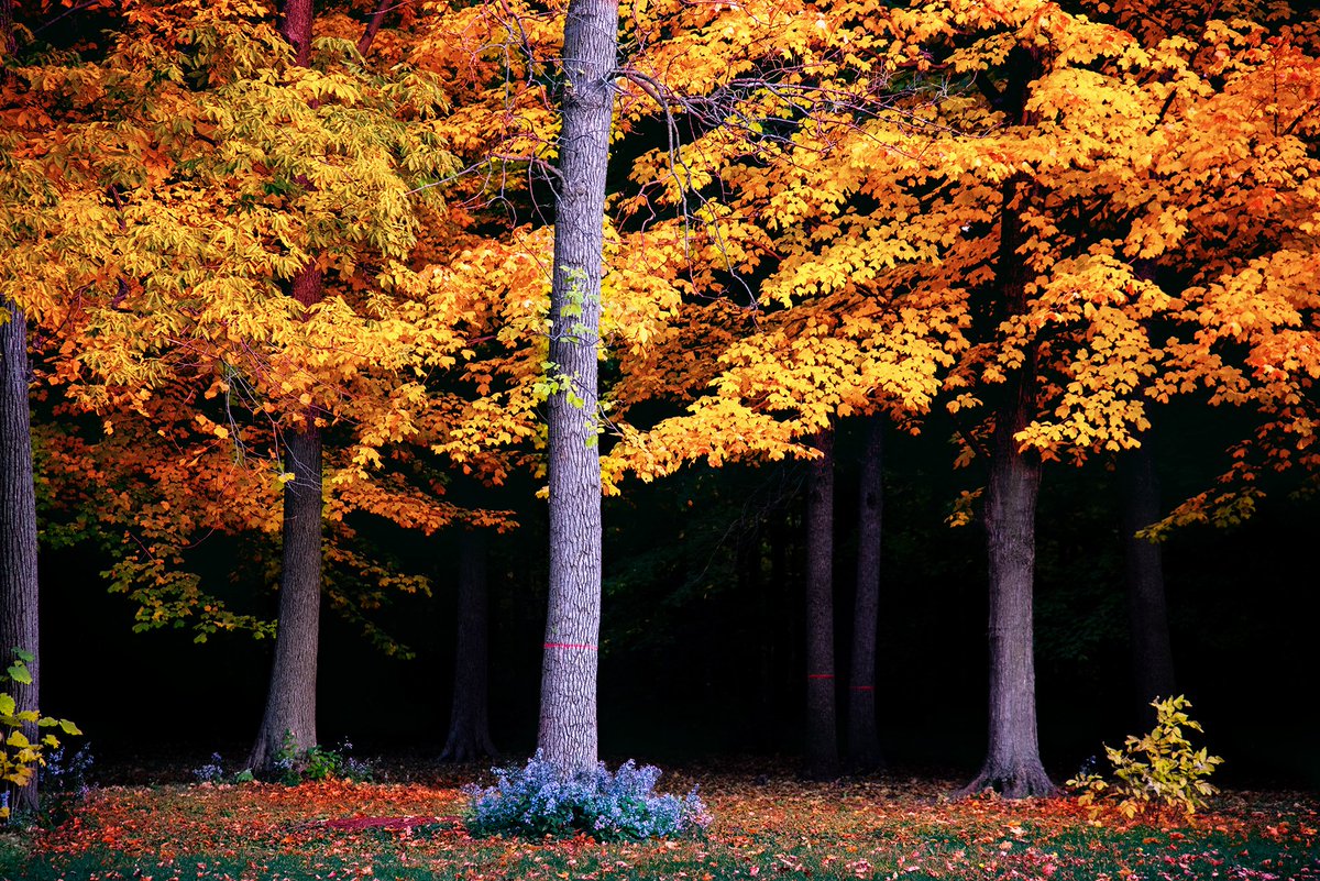 AB-SHOTZ Photography tweet media