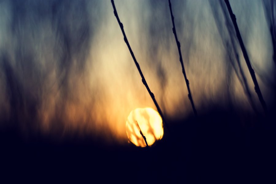 Our deepest fear is not that we are inadequate. Our deepest fear is that we are powerful beyond measure. It is our Light, not our Darkness, that most frightens us.
- Marianne Williamson