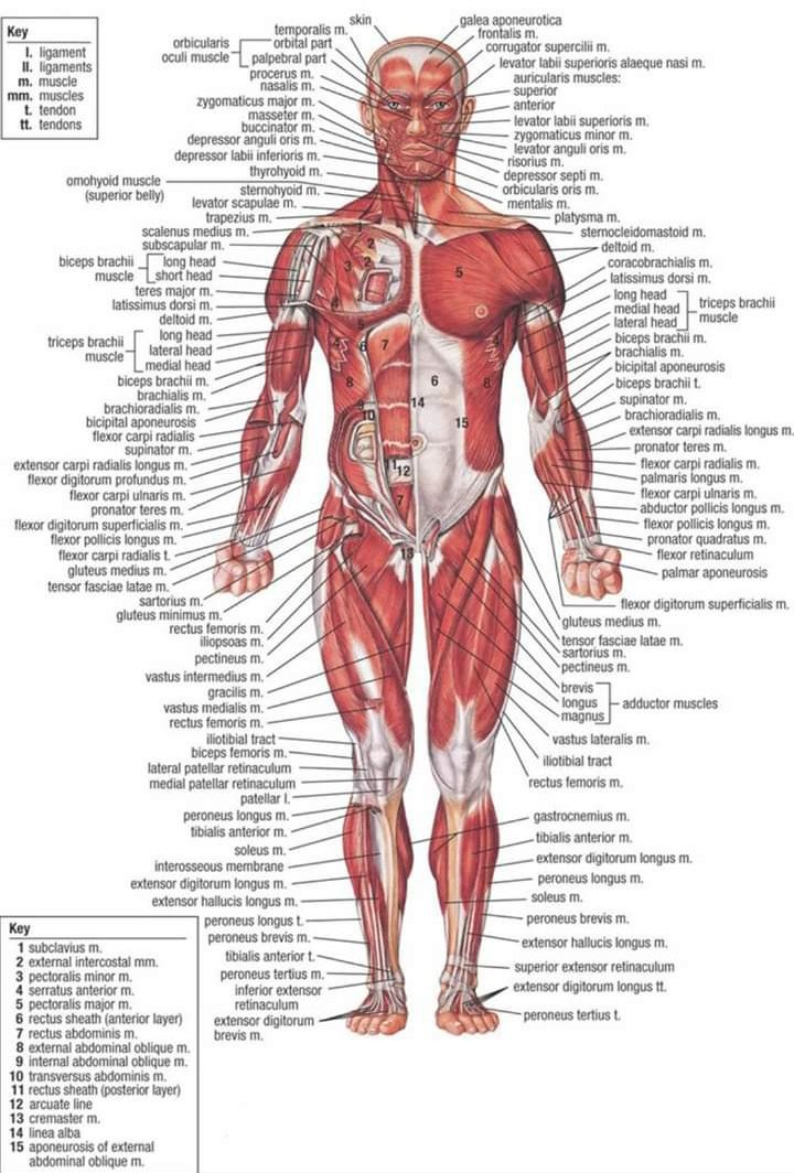 thenursehooman's tweet photo. how it started:                         how it's going: https://t.co/NQ6UFLkvjz