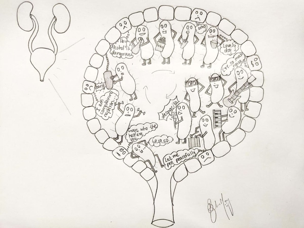 Uropathogenic E. coli (UPEC) forms  #biofilm during infection (and perhaps it also lives in biofilm in non-host conditions). Illustration by Jeroline Mary  @JerolineMary who was doing a wonderful work on biofilm flocs in wastewater in our lab for her UG project