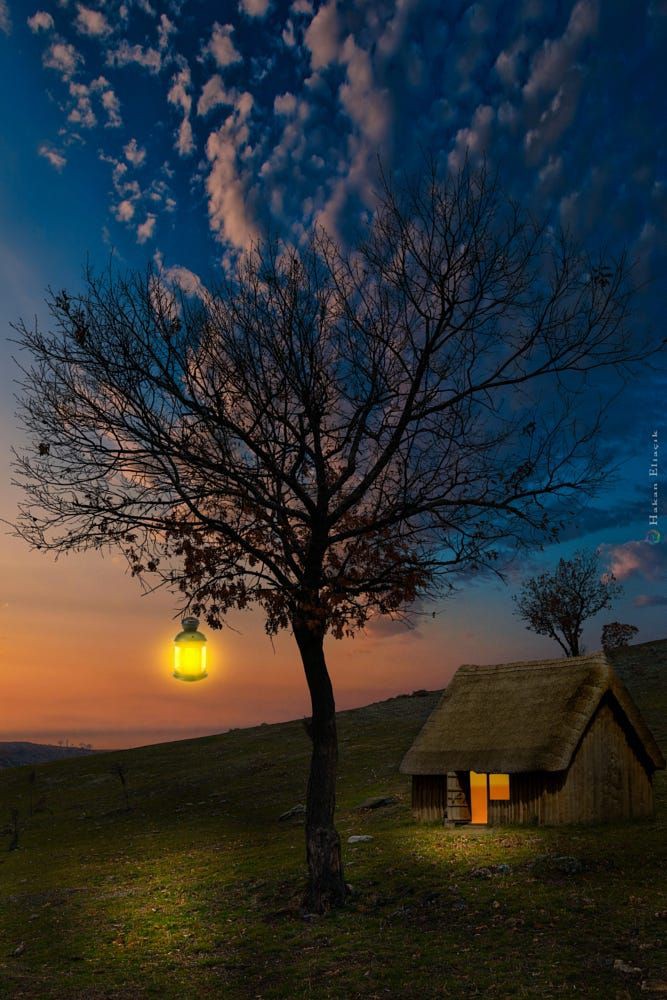 ���� ���� ������ �� ���� ������