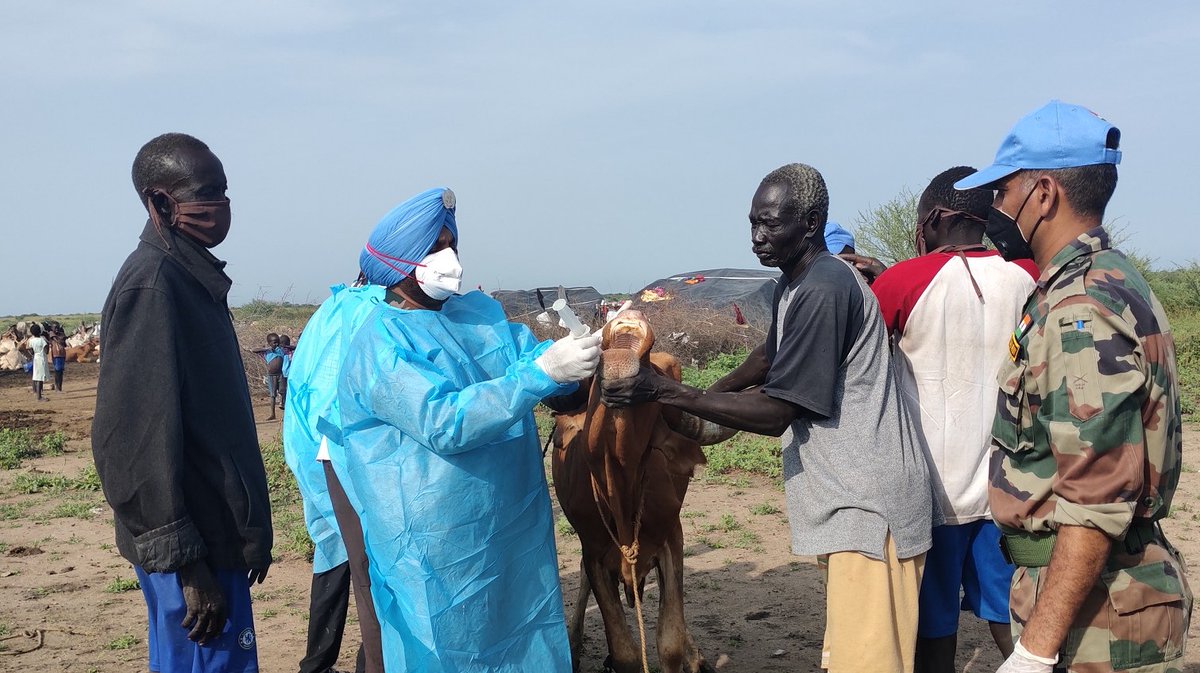 #Peace is essential for food security #ZeroHunger in #SouthSudan 🇸🇸
@unmissmedia #peacekeepers from #India🇮🇳 treated hundreds of diseased livestock in Renk to:
➡️reduce conflict caused by animal theft
➡️ensure healthy animals, happy farmers, fresh milk.
#UN75 @UNPeacebuilding https://t.co/yOV7oIGdGE
