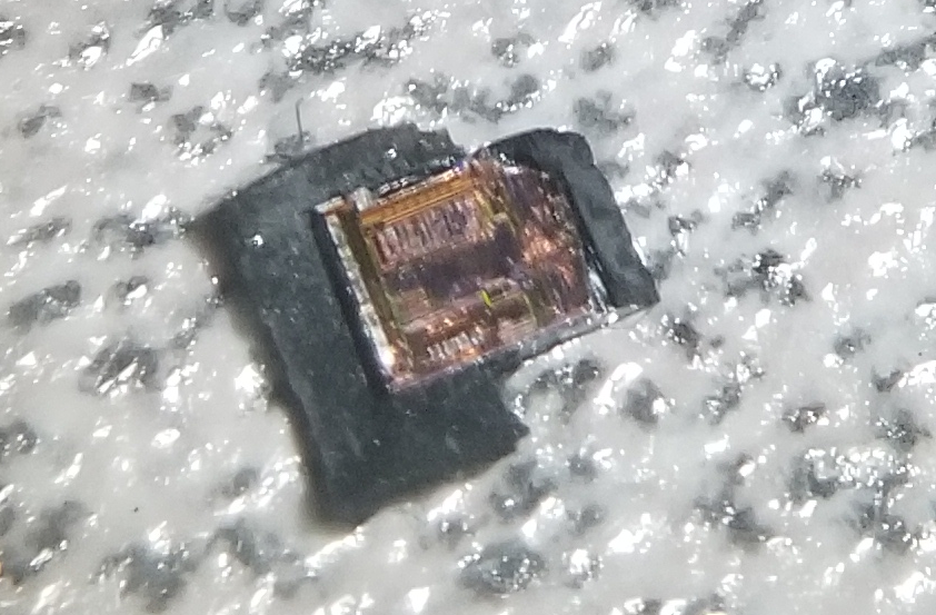 I think I need a better microscope. This is the best image I've gotten of the die