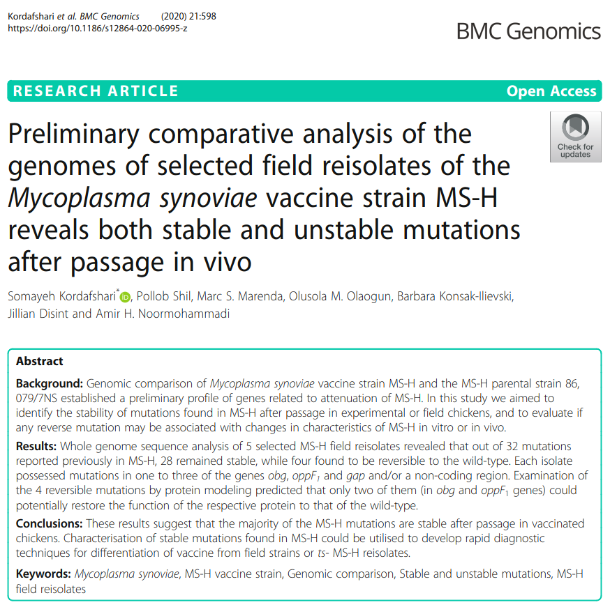 ApcahUnimelb's tweet photo. New #FVASresearch from @Somi_Kordafshar in @BioMedCentral #genomics. This is the third paper by Somi and colleagues over the past year looking at vaccines against #Mycoplasma synoviae ๐ฆ , an important disease in poultry ๐ค
๐งต1/?
https://t.co/9q7b2b4kzT https://t.co/IvJdOkeblh