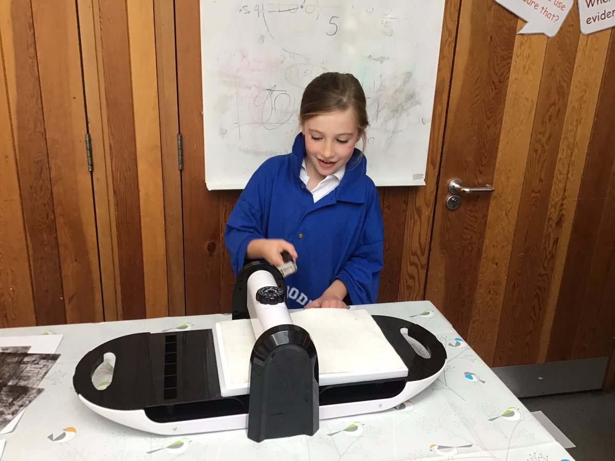 GoodrichCESch's tweet photo. Owls class have been finishing their prints of the castle #GSowls #GStopic https://t.co/0ZsP6VUVcK