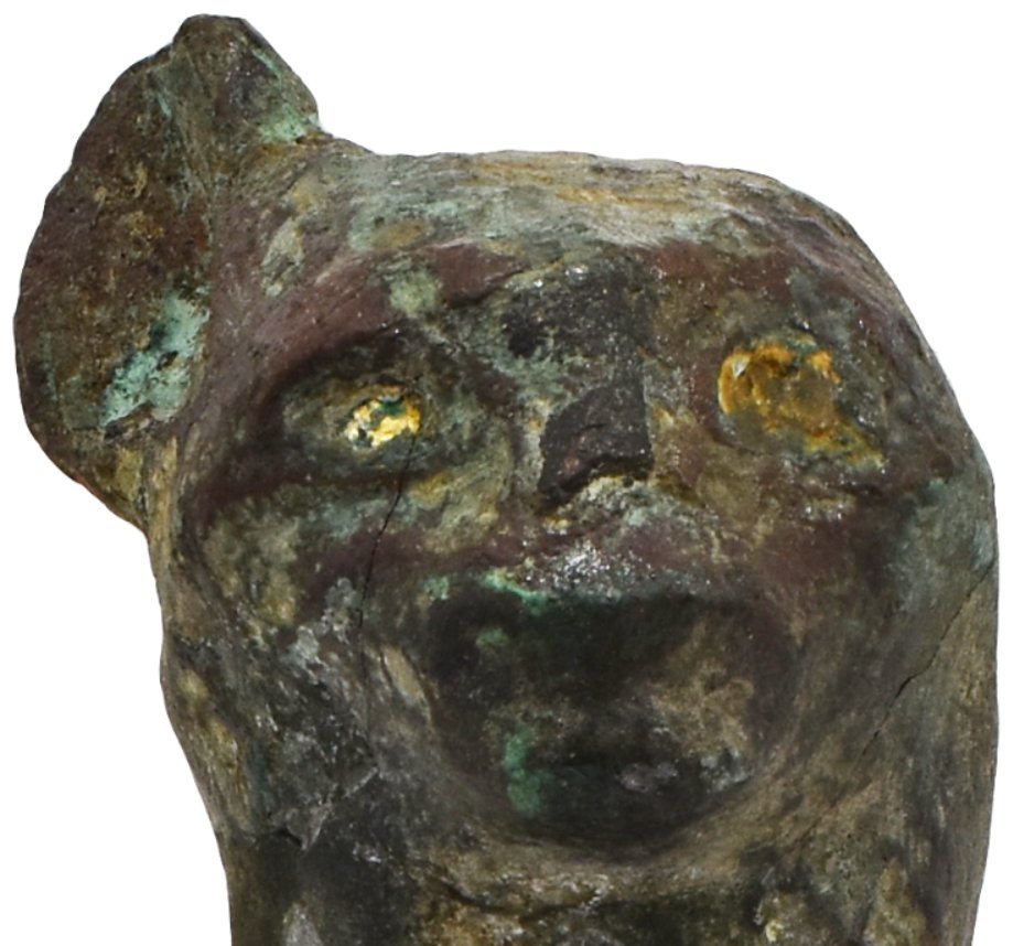 I spent yesterday photographing objects in the animals case of @TheEgyptCentre. It's always nice to spot something you've never noticed before. For example, check out the golden eyes of this copper alloy cat! #TheGoldenOne https://t.co/6vq4umzSp2