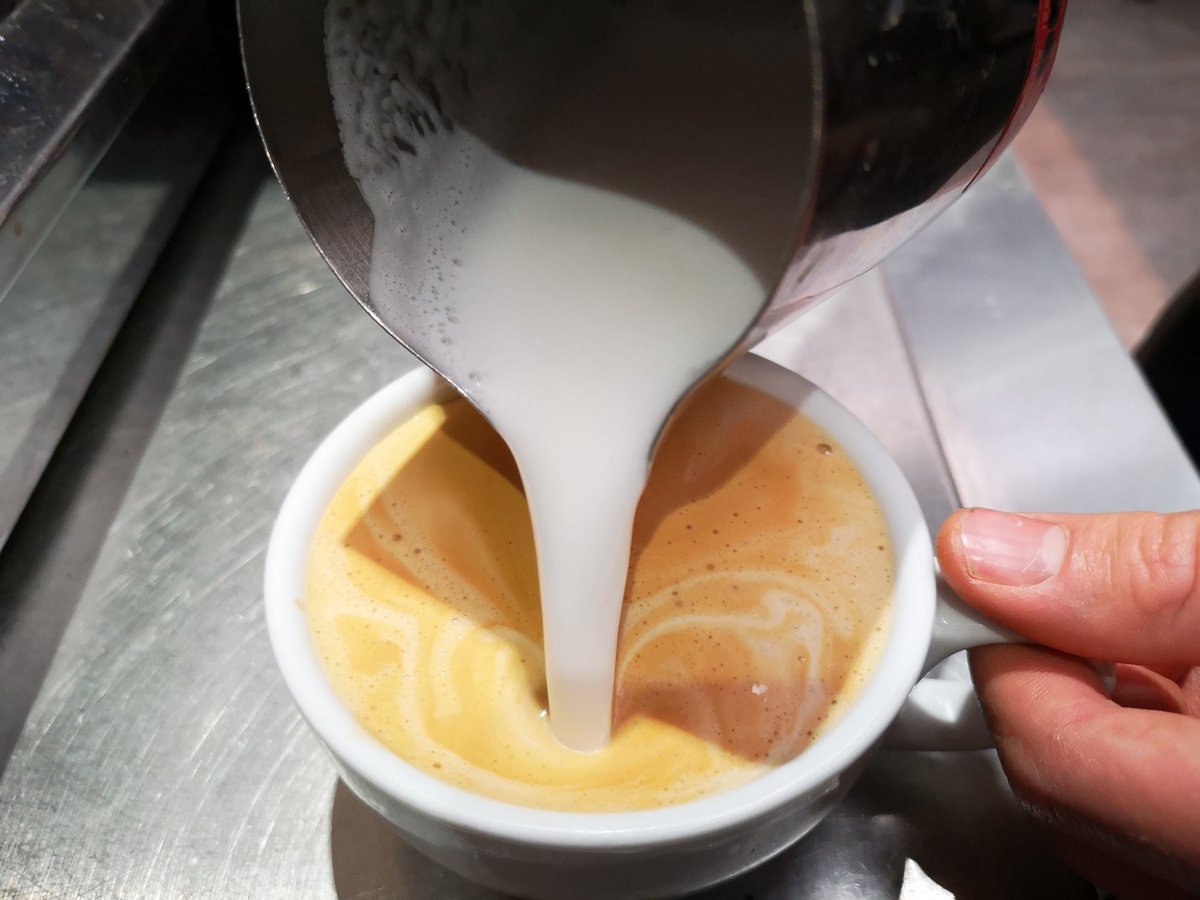 Fred's second Latte ever, quick learning with L3 superior Jordan! Coffee training continues.. #peerassessment #teamwork #GreatSkillsRightAttitude <a href="/Debutcafe/">Debut Cafe City College Norwich</a> <a href="/DebutRestaurant/">Debut Restaurant</a> <a href="/norwichcollege/">City College Norwich</a>