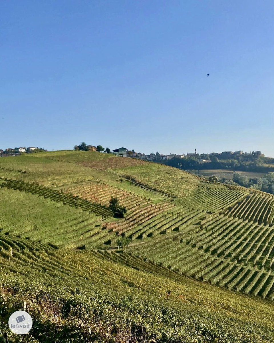 Let's Visit Piemonte tweet media