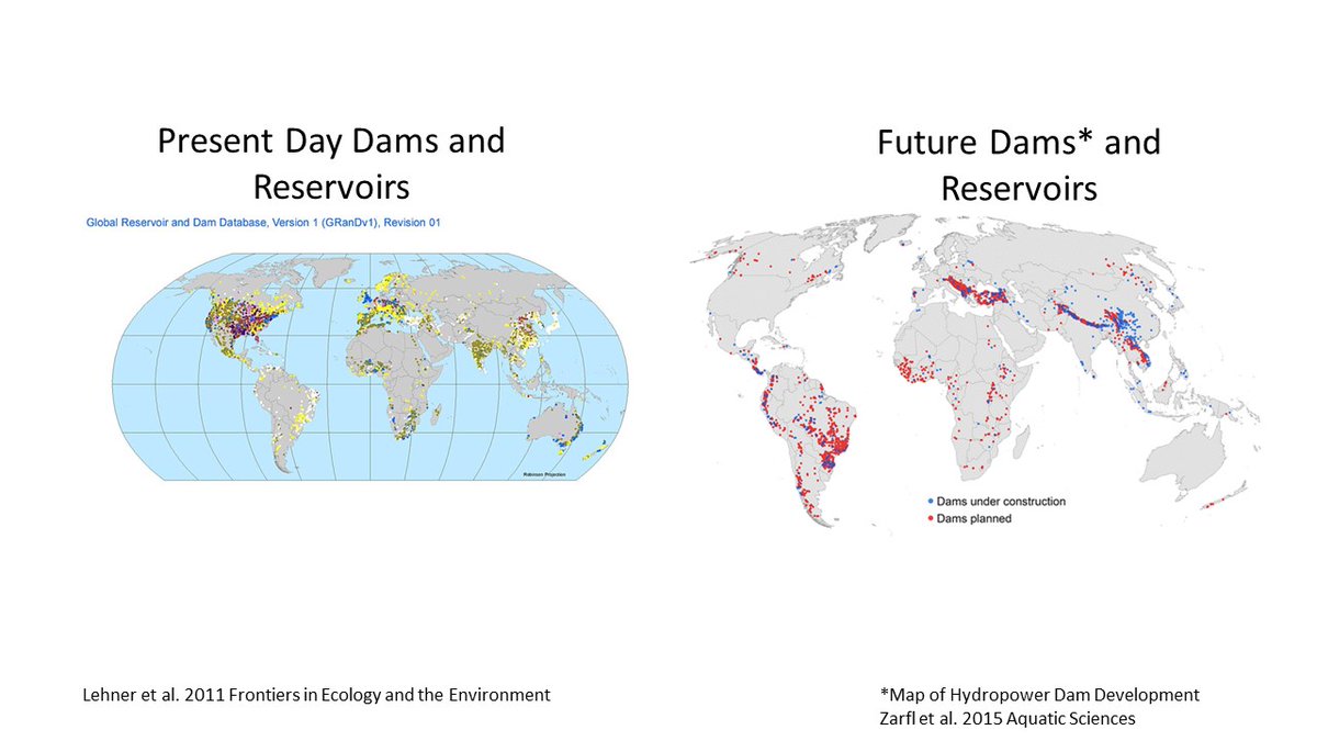 New dams are being constructed throughout the world and will inevitably face the consequences of aging. How do we achieve ideal outcomes for aging dams and reservoirs in a proactive manner? Read the article for our take on the issue -  https://link.springer.com/article/10.1007/s00027-019-0679-3 10/10  #HydroFish2020