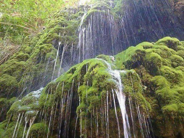 LetsGoToJordan's tweet photo. waterfall of Al-Mhalala is located to the northwest of the village of Aima in the Tafila governorate, between the mountains and rocks, and with the continuation of the stream that flows into the southern valleys, palm trees and wild figs.
#يلا_على_الأردن
#letsgotojordan https://t.co/c4XX0JzJ4k