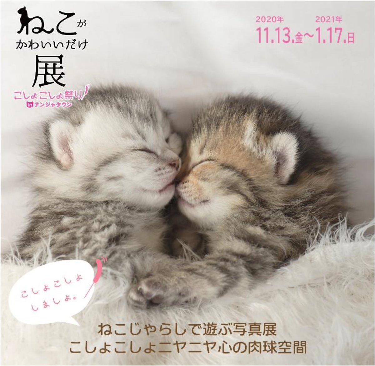 ねこがかわいいだけ展 Nekodaketen Twitter
