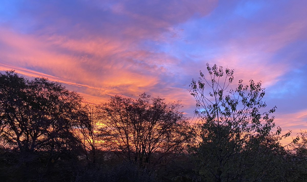 Yuriko Backes tweet media