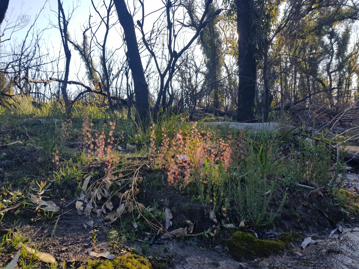 Sarah Stock tweet media