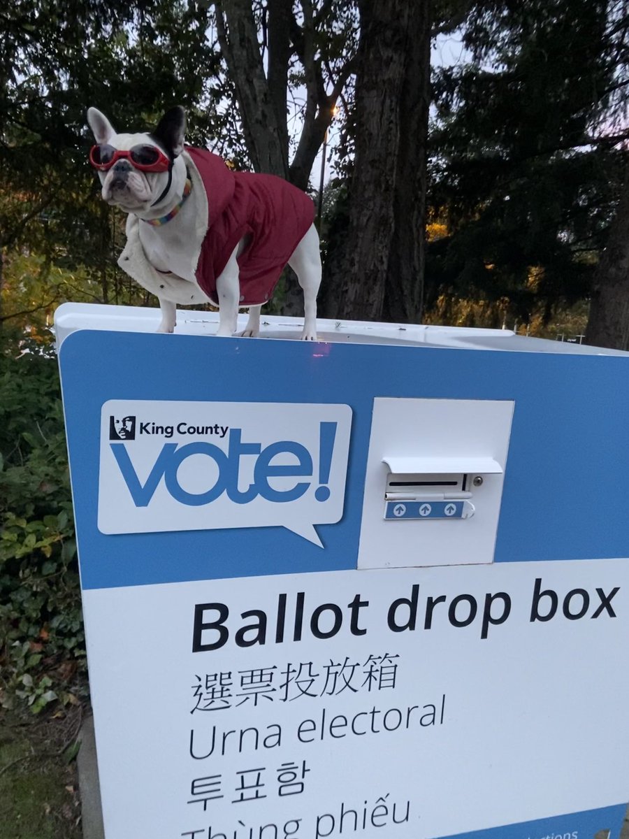 KpopUmma's tweet photo. Greta making sure ballots are dropped off #wearREDforEDUCATION #VoteBidenHarris #VoteToEndRacism #k5pets @KING5Seattle @JoeBiden @KamalaHarris @dodo https://t.co/ZLC1YnG4UF