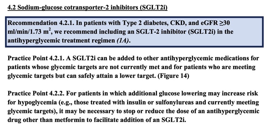 Nevertheless, almost all clinical practice guidelines recommend metformin as first line treatment, with the addition of SGLT2i in patients with CKD/heart failure if they are not achieving sufficient glucose control on metformin aloneRecommendations from ADA/EASD & KDIGO: