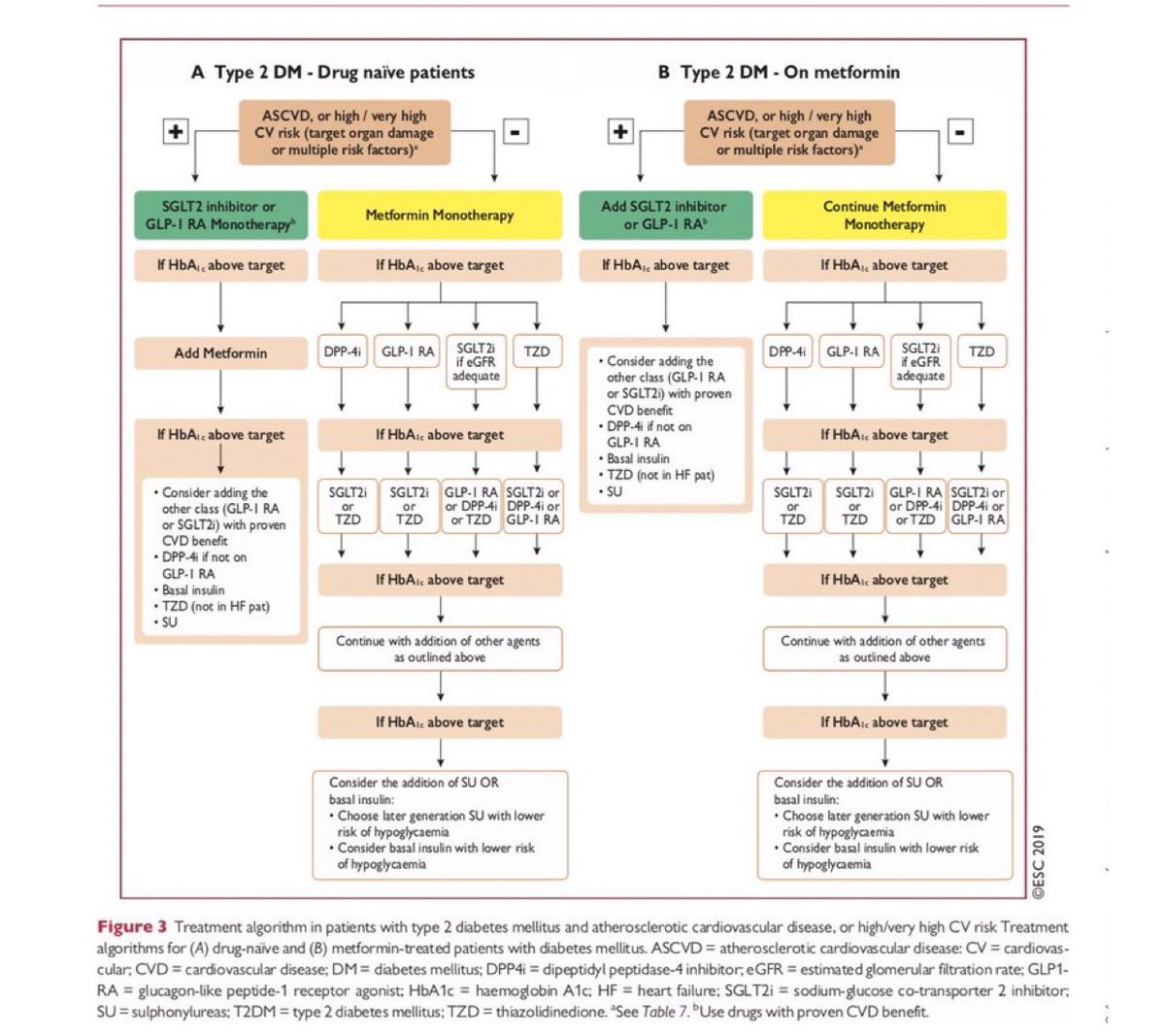 Somewhat controversially in 2019, the ESC broke rank with other guidelines and recommended SGLT2i/GLP-1RA in patients at very high CV risk “regardless of whether the are treatment naive or already receiving metformin”  https://www.escardio.org/Guidelines/Clinical-Practice-Guidelines/Diabetes-Pre-Diabetes-and-Cardiovascular-Diseases-developed-with-the-EASD
