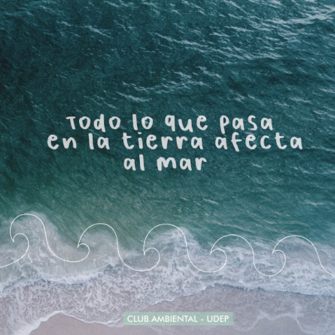 Club Ambiental UDEP tweet media