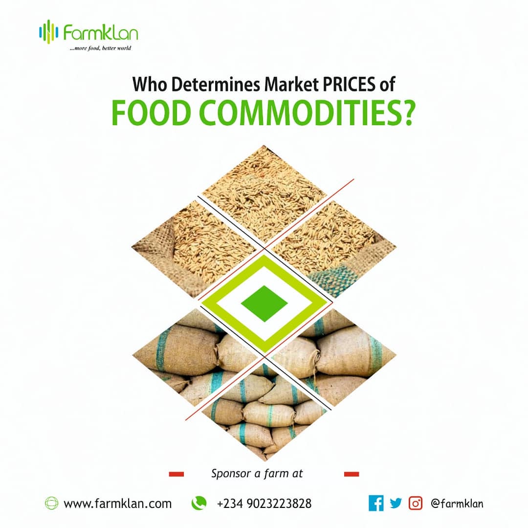 farmklan's tweet photo. Who determines prices of food commodities? Is it the farmers, middlemen, processors, transporters, or other stakeholders? 
#farmklan
#agtech
#foodsecurity
#zerohunger https://t.co/sXzdtvkOjk