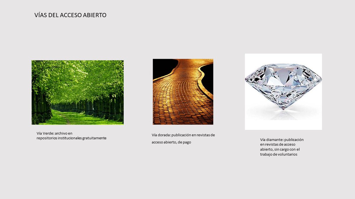 GREDOSusal's tweet image. ¿No sabes cuáles son las vías para publicar tu investigación en acceso abierto? Te lo explicamos 
#openaccessweek2020