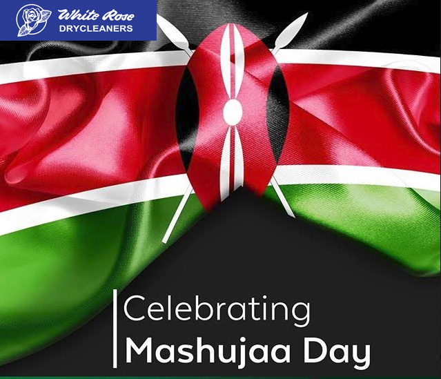 WhiteRose1951's tweet photo. Freedom is never more than one generation away from extinction. We didn’t pass it to our children in the bloodstream. It must be fought for, protected, and handed on for them to do the same. Happy Hero’s Day.
#HappyMashujaaDay #MashujaaDay https://t.co/Yu32LCaBB1