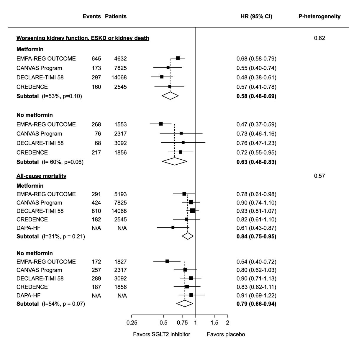 SGLT2 inhibitors also reduced the risk of worsening kidney function, kidney failure or death due to kidney disease, as well as all-cause death, irrespective of metformin use